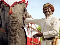 Vodafone: Experti Nightwork nepotřebují sloní paměť